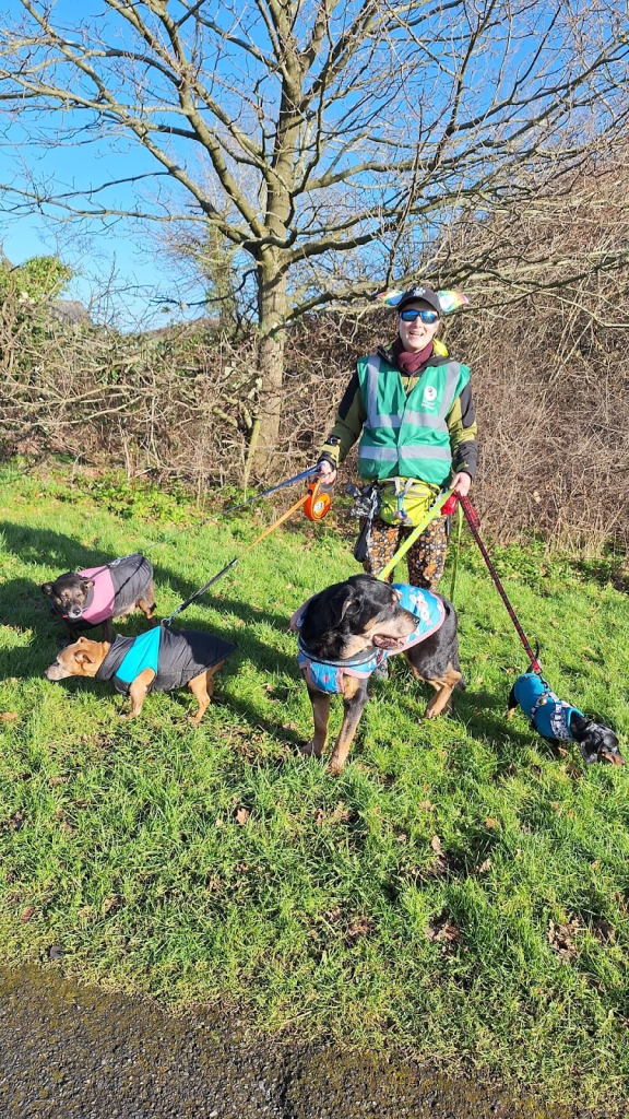 Image shows a person wearing patterned dungarees, a cap with rainbow dog ears, a green hi-vis and a green bum-bag, holding four dogs on leads. Two of the dogs are small terriers in pink and blue puffer-type harness coats, one is a rottweiler in a blue patterned rug-style coat, and one is a dachshund in a turquoise equafleece. They are standing on grass in front of a tree, and not one of the dogs is looking in the same direction!
