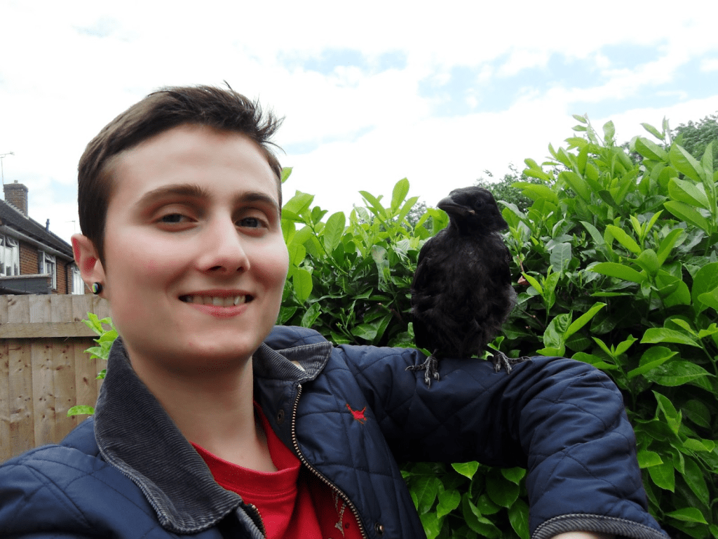 Image shows a person wearing a red T-shirt, dark blue jacket, and rainbow stud earring, smiling at the camera. Their upper arm is lifted level with their shoulder; on it is perched a young crow fledgling named Barnaby, whom they rescued from the concrete in a public park and cared for over several days until Barney was able to fly away.
