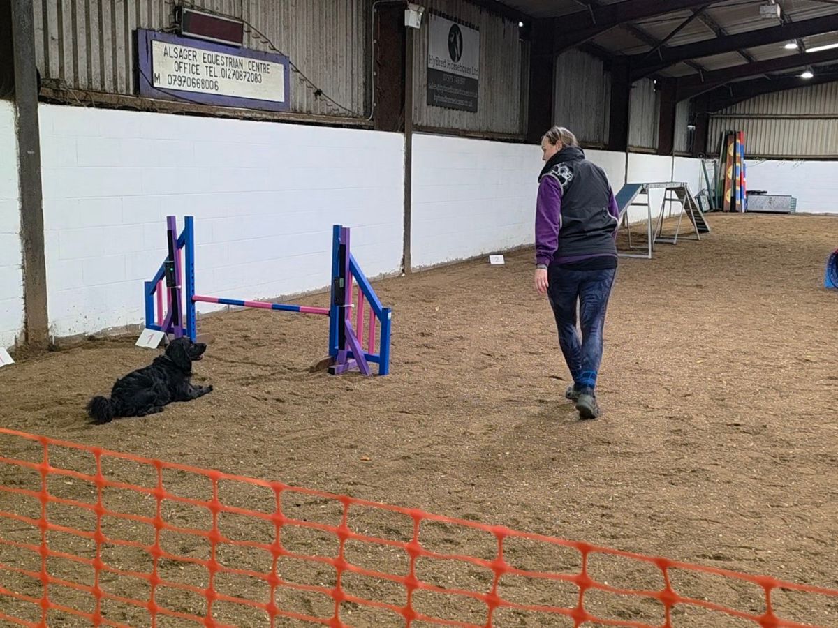 Choosing What Matters: Neurodivergent Decision-Making in Dog&nbsp;Agility