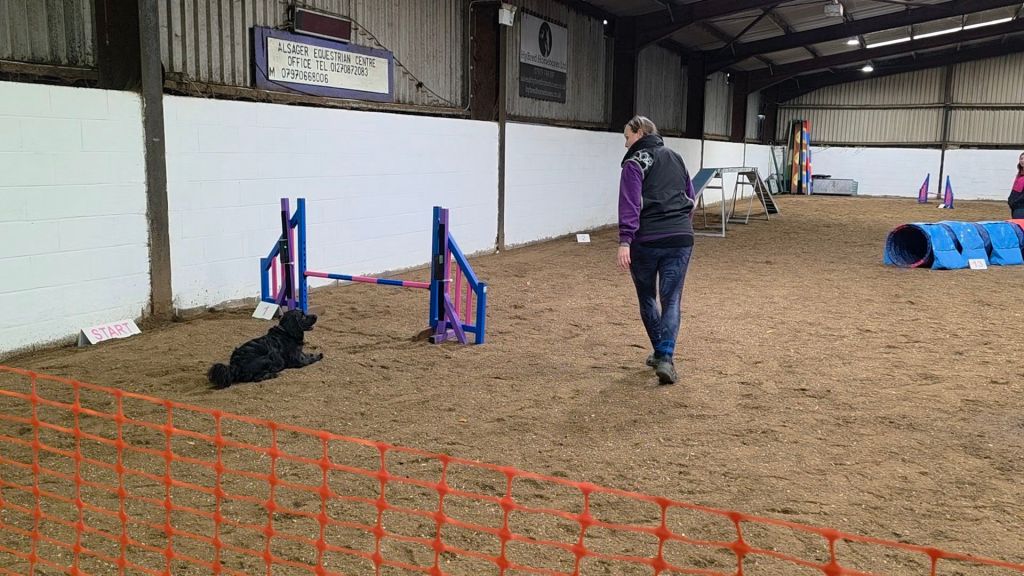 Choosing What Matters: Neurodivergent Decision-Making in Dog&nbsp;Agility