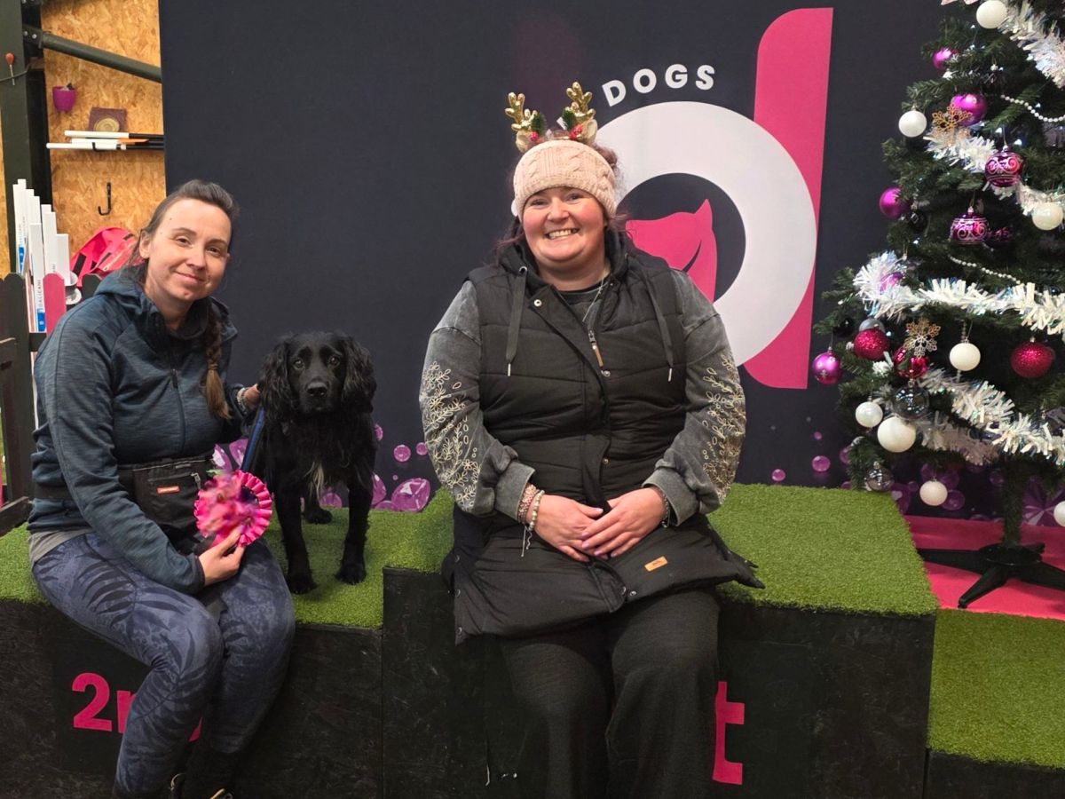 Why I’m Not Setting Goals This&nbsp;Year