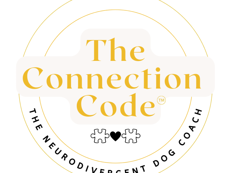Why I Created The Connection&nbsp;Code™